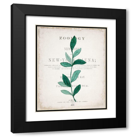 Botanical Pages 2 Black Modern Wood Framed Art Print with Double Matting by Kimberly, Allen