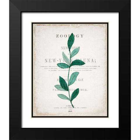 Botanical Pages 2 Black Modern Wood Framed Art Print with Double Matting by Kimberly, Allen