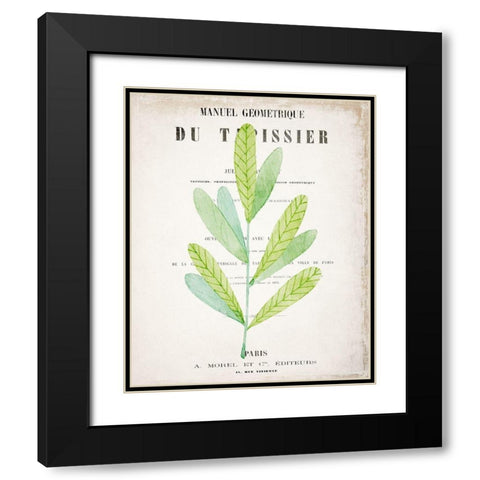 Botanical Pages 3 Black Modern Wood Framed Art Print with Double Matting by Kimberly, Allen