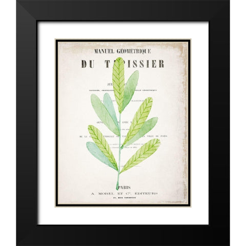 Botanical Pages 3 Black Modern Wood Framed Art Print with Double Matting by Kimberly, Allen