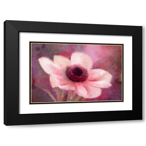 Blooming Pink Black Modern Wood Framed Art Print with Double Matting by Kimberly, Allen