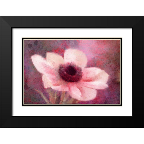 Blooming Pink Black Modern Wood Framed Art Print with Double Matting by Kimberly, Allen