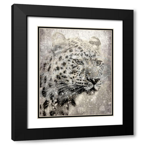 Winters Gaze Black Modern Wood Framed Art Print with Double Matting by Kimberly, Allen