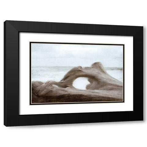 Driftwood Beach Black Modern Wood Framed Art Print with Double Matting by Kimberly, Allen