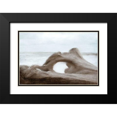 Driftwood Beach Black Modern Wood Framed Art Print with Double Matting by Kimberly, Allen