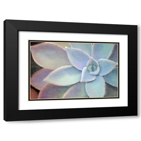 Softly Black Modern Wood Framed Art Print with Double Matting by Allen, Kimberly