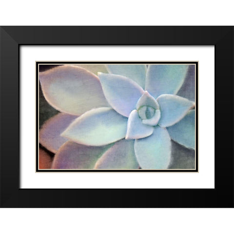Softly Black Modern Wood Framed Art Print with Double Matting by Allen, Kimberly