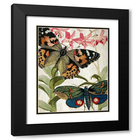 Butterfly World 1 Black Modern Wood Framed Art Print with Double Matting by Kimberly, Allen