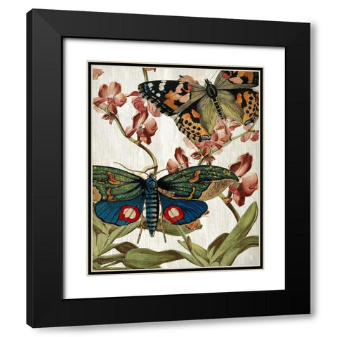 Butterfly World 3 Black Modern Wood Framed Art Print with Double Matting by Kimberly, Allen