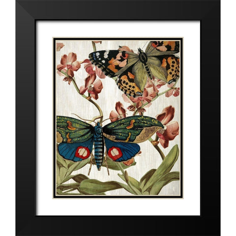 Butterfly World 3 Black Modern Wood Framed Art Print with Double Matting by Kimberly, Allen