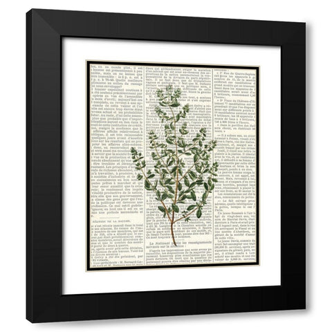 Fresh Herbs 3 Black Modern Wood Framed Art Print with Double Matting by Allen, Kimberly