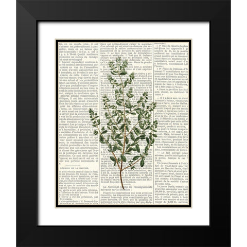 Fresh Herbs 3 Black Modern Wood Framed Art Print with Double Matting by Allen, Kimberly