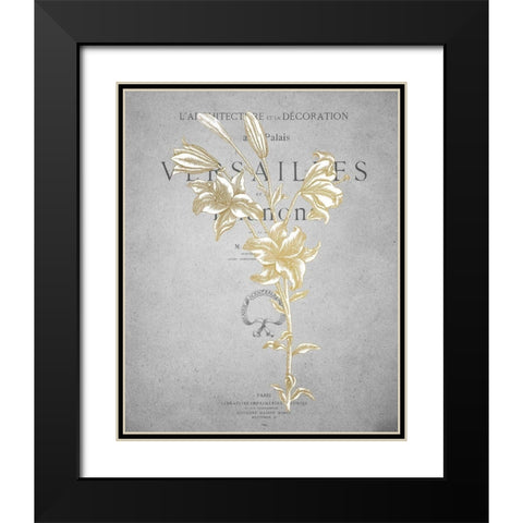 Gold Botanicals 1 Black Modern Wood Framed Art Print with Double Matting by Kimberly, Allen