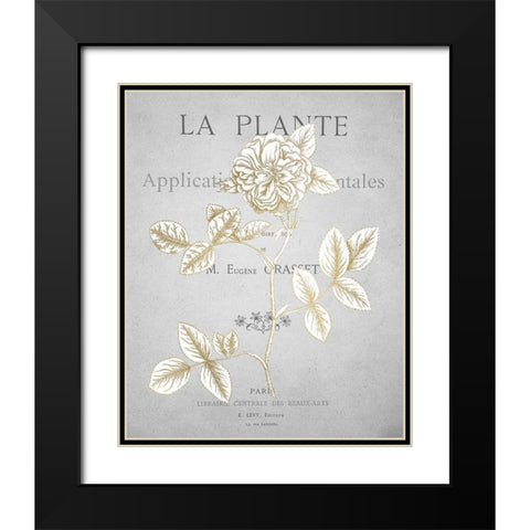 Gold Botanicals 3 Black Modern Wood Framed Art Print with Double Matting by Kimberly, Allen