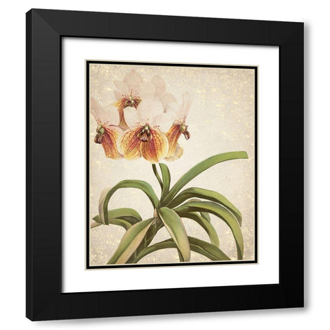 Orchids 3 Black Modern Wood Framed Art Print with Double Matting by Kimberly, Allen