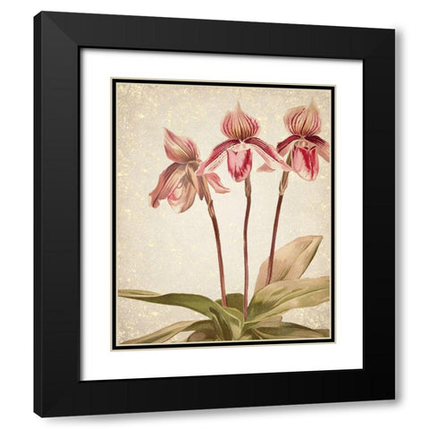 Orchids 4 Black Modern Wood Framed Art Print with Double Matting by Kimberly, Allen