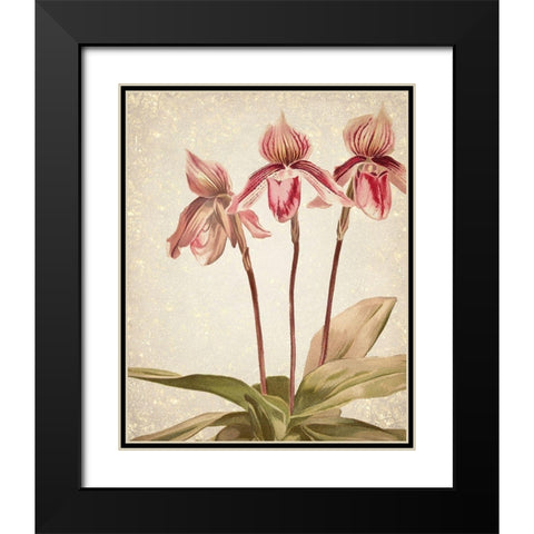 Orchids 4 Black Modern Wood Framed Art Print with Double Matting by Kimberly, Allen