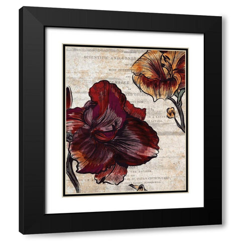 Brilliant Blooms 1 Black Modern Wood Framed Art Print with Double Matting by Kimberly, Allen