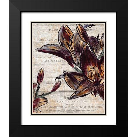 Brilliant Blooms 2 Black Modern Wood Framed Art Print with Double Matting by Kimberly, Allen