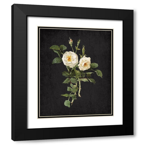 Roses on Black 1 Black Modern Wood Framed Art Print with Double Matting by Kimberly, Allen