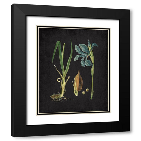 Blue Iris 1 Black Modern Wood Framed Art Print with Double Matting by Kimberly, Allen
