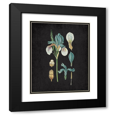 Blue Iris 2 Black Modern Wood Framed Art Print with Double Matting by Kimberly, Allen