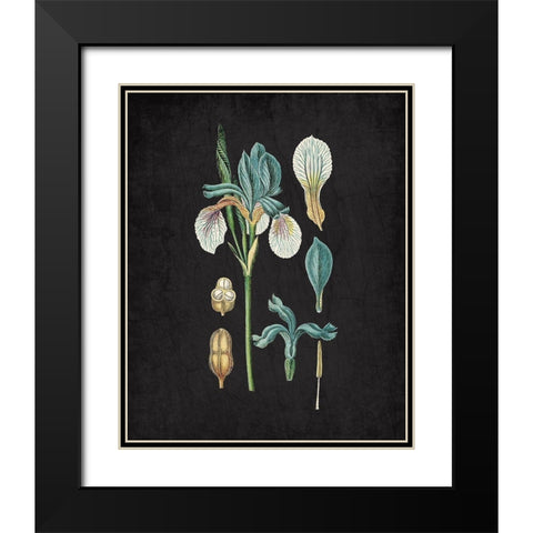 Blue Iris 2 Black Modern Wood Framed Art Print with Double Matting by Kimberly, Allen