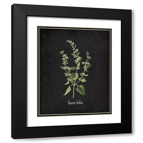 Lemon Balm Black Modern Wood Framed Art Print with Double Matting by Kimberly, Allen