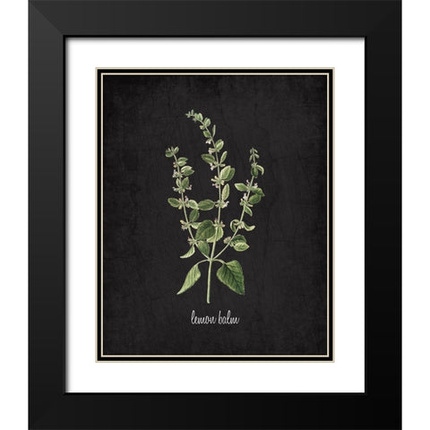 Lemon Balm Black Modern Wood Framed Art Print with Double Matting by Kimberly, Allen