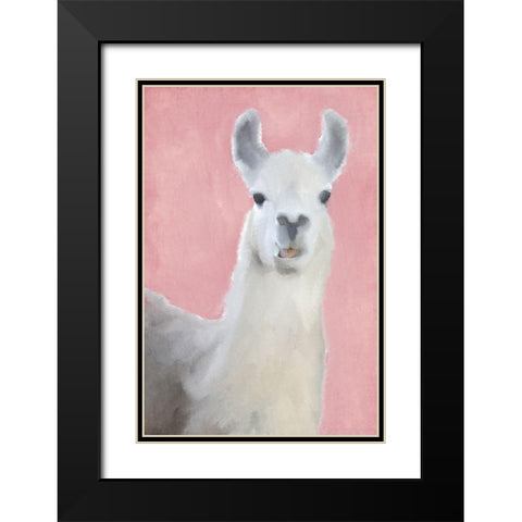 Llama on Pink Black Modern Wood Framed Art Print with Double Matting by Kimberly, Allen