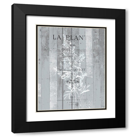 La Plante 1 Black Modern Wood Framed Art Print with Double Matting by Kimberly, Allen
