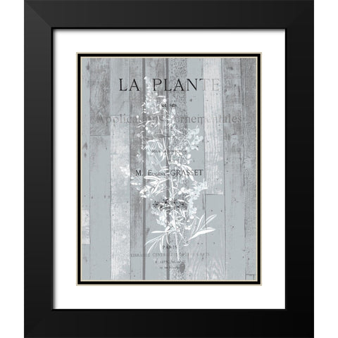 La Plante 1 Black Modern Wood Framed Art Print with Double Matting by Kimberly, Allen