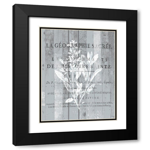 La Plante 2 Black Modern Wood Framed Art Print with Double Matting by Kimberly, Allen