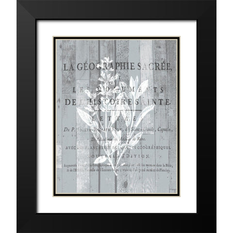 La Plante 2 Black Modern Wood Framed Art Print with Double Matting by Kimberly, Allen