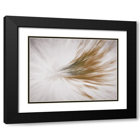 Shimmery Streak Black Modern Wood Framed Art Print with Double Matting by Kimberly, Allen
