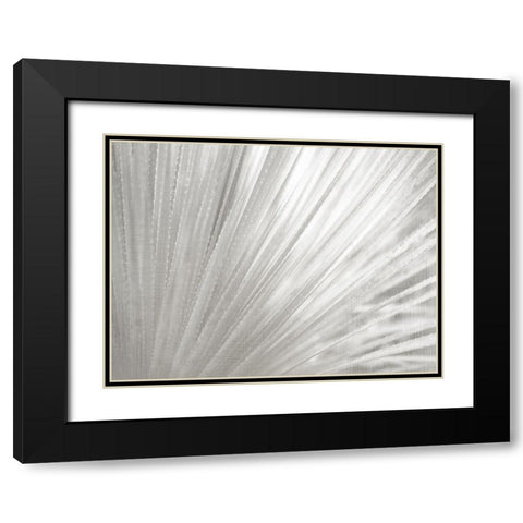 Silver Wash Succulent Black Modern Wood Framed Art Print with Double Matting by Kimberly, Allen