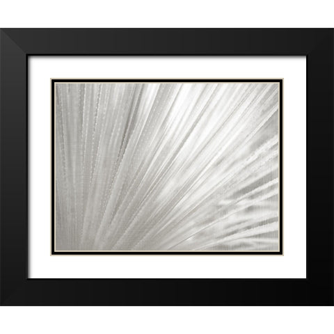 Silver Wash Succulent Black Modern Wood Framed Art Print with Double Matting by Kimberly, Allen