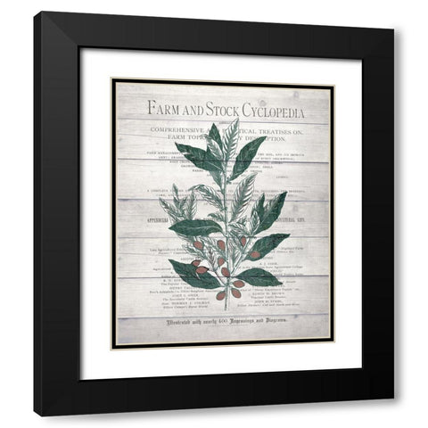 Botanical A v2 Black Modern Wood Framed Art Print with Double Matting by Kimberly, Allen