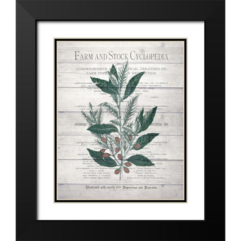 Botanical A v2 Black Modern Wood Framed Art Print with Double Matting by Kimberly, Allen