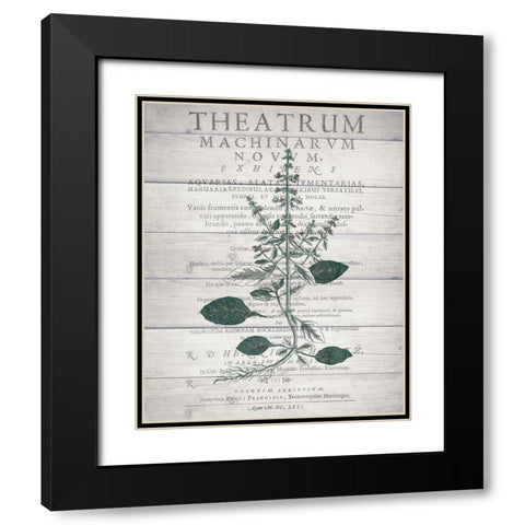 Botanical B v2 Black Modern Wood Framed Art Print with Double Matting by Kimberly, Allen