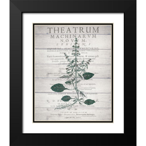 Botanical B v2 Black Modern Wood Framed Art Print with Double Matting by Kimberly, Allen
