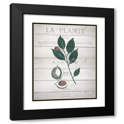 Botanical C v2 Black Modern Wood Framed Art Print with Double Matting by Kimberly, Allen