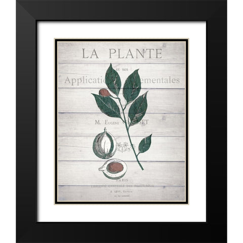 Botanical C v2 Black Modern Wood Framed Art Print with Double Matting by Kimberly, Allen
