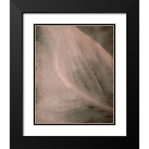 Shaded Leaf 2 Black Modern Wood Framed Art Print with Double Matting by Kimberly, Allen