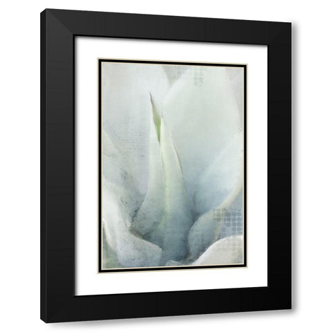 Agave 1 Black Modern Wood Framed Art Print with Double Matting by Kimberly, Allen