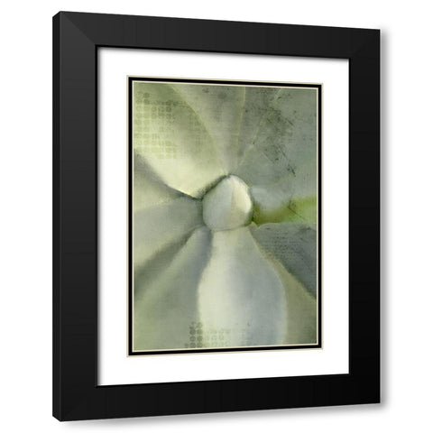 Agave 2 Black Modern Wood Framed Art Print with Double Matting by Kimberly, Allen