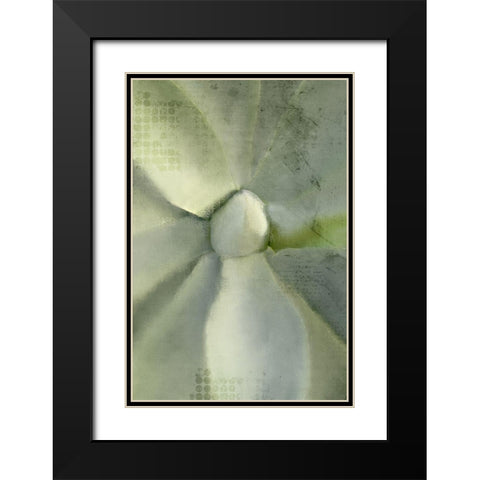 Agave 2 Black Modern Wood Framed Art Print with Double Matting by Kimberly, Allen