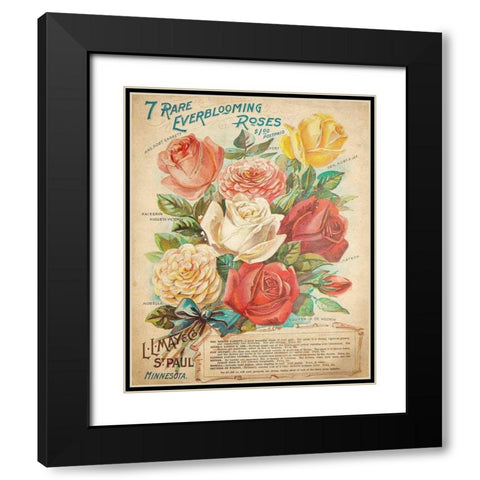 Everblooming Roses Black Modern Wood Framed Art Print with Double Matting by Kimberly, Allen