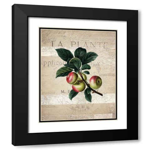 Fruit 1 Black Modern Wood Framed Art Print with Double Matting by Kimberly, Allen