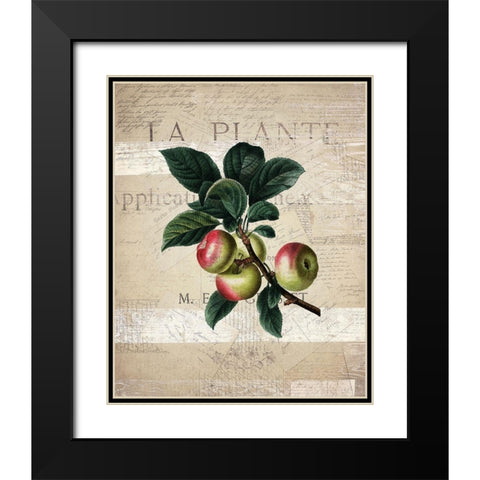 Fruit 1 Black Modern Wood Framed Art Print with Double Matting by Kimberly, Allen